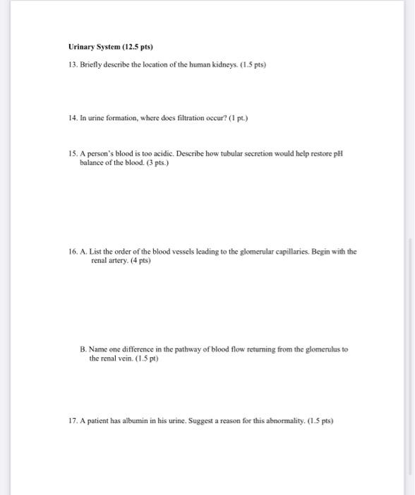 Urinary System 12 5 Pts 13 Briefly Describe The Location Of The Human Kidneys 1 5 Pts 14 In Urine Formation Wher 1