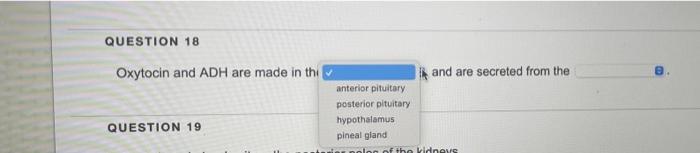 Question 18 Oxytocin And Adh Are Made In Thi And Are Secreted From The Anterior Pituitary Posterior Pituitary Hypothalam 1