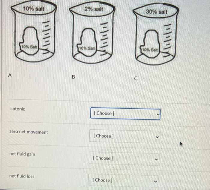 10 Salt 2 Salt 30 Salt 10 Salt 10 Salt 10 Salt A 00 Isotonic Choose Zero Net Movement Choose Net Fluid Gain C 1