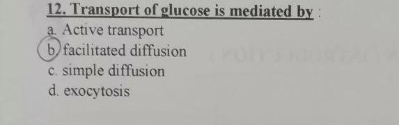 12 Transport Of Glucose Is Mediated By A Active Transport B Facilitated Diffusion C Simple Diffusion D Exocytosis 1