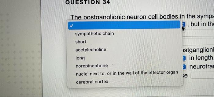 Question 34 The Postganglionic Neuron Cell Bodies In The Sympathetic Nervous System Are Located In But In The Parasympa 2