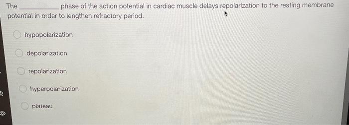 The Phase Of The Action Potential In Cardiac Muscle Delays Repolarization To The Resting Membrane Potential In Order To 1