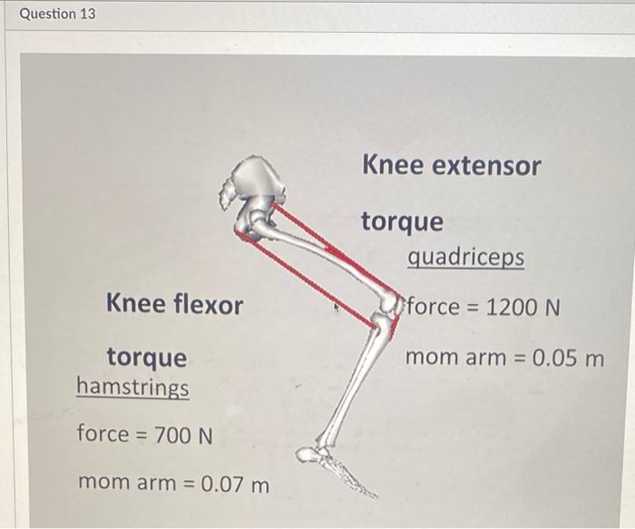 Question 13 Knee Extensor Torque Quadriceps Knee Flexor Force 1200 N Mom Arm 0 05 M Torque Hamstrings Force 70 1