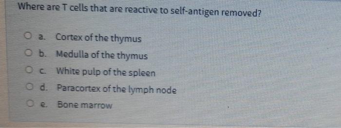 Where Are T Cells That Are Reactive To Self Antigen Removed O A Cortex Of The Thymus O B Medulla Of The Thymus Oc Whi 1