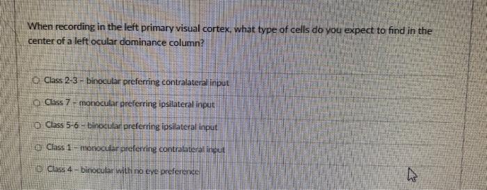 When Recording In The Left Primary Visual Cortex What Type Of Cells Do You Expect To Find In The Center Of A Left Ocula 1