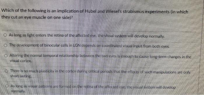 Which Of The Following Is An Implication Of Hubel And Wiesels Strabismus Experiments In Which They Cut An Eye Muscle On 1