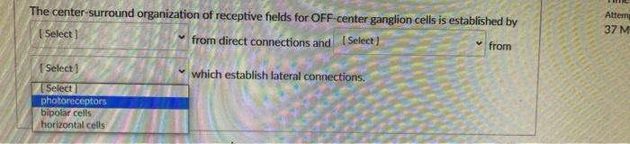 From The Center Surround Organization Of Receptive Fields For Off Center Ganglion Cells Is Established By Select From D 3