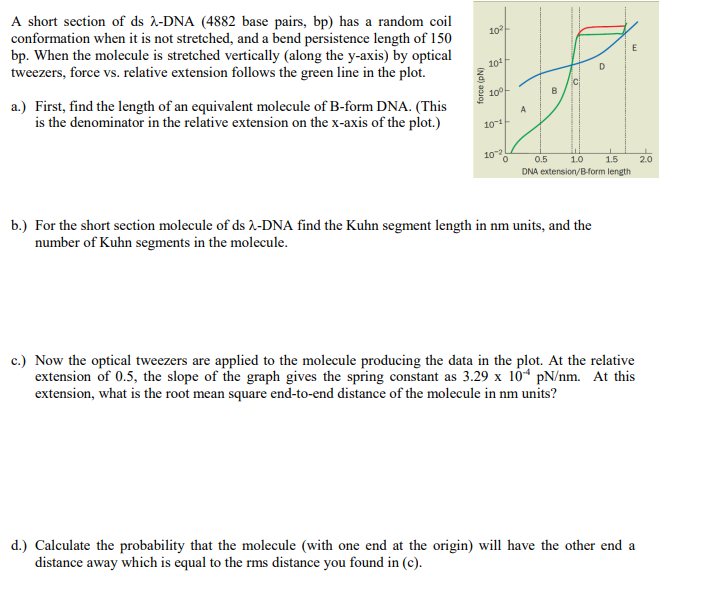 10 E 10 D A Short Section Of Ds 2 Dna 4882 Base Pairs Bp Has A Random Coil Conformation When It Is Not Stretched An 1