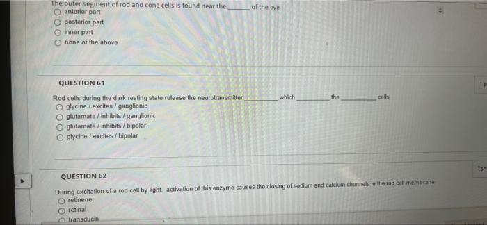 Of The Eye The Outer Segment Of Rod And Cone Cells Is Found Near The O Anterior Part Posterior Part Inner Part None Of T 1