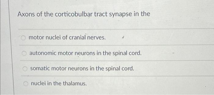 Axons Of The Corticobulbar Tract Synapse In The Motor Nuclei Of Cranial Nerves Autonomic Motor Neurons In The Spinal Co 1