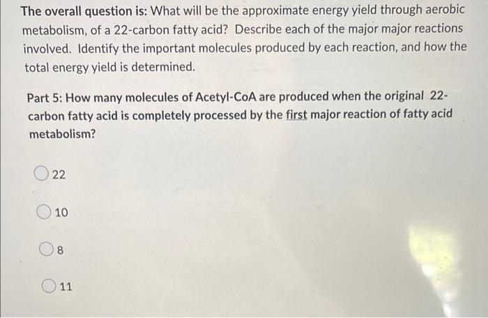 The Overall Question Is What Will Be The Approximate Energy Yield Through Aerobic Metabolism Of A 22 Carbon Fatty Acid 1