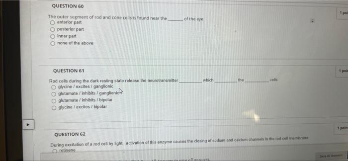 Question 60 1 Poi Of The Eye The Outer Segment Of Rod And Cone Cells Is Found Near The Anterior Part Posterior Part Inne 1