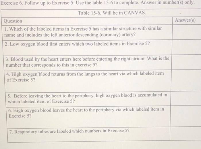 Exercise 5 Use The Terms Provided To Identify Items Labeled 1 16 Place Your Answers In Table 15 5 Terms Right Atrium 2
