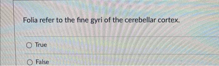 Folia Refer To The Fine Gyri Of The Cerebellar Cortex O True O False 1