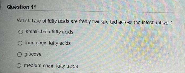 Question 11 Which Type Of Fatty Acids Are Freely Transported Across The Intestinal Wall O Small Chain Fatty Acids O Lon 1