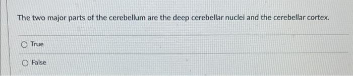 The Two Major Parts Of The Cerebellum Are The Deep Cerebellar Nuclei And The Cerebellar Cortex True O False The Two M 1
