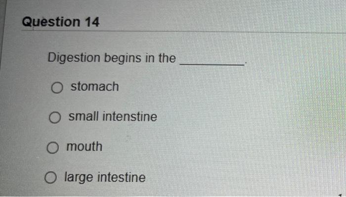 Question 14 Digestion Begins In The O Stomach O Small Intenstine O Mouth O Large Intestine 1