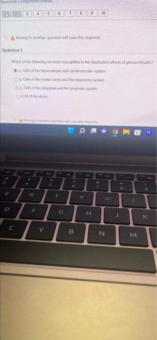 Question Completion Status L 3 4 5 6 7 8 9 10 Mavere To Another Questions Will Save This Response Question 2 Which Of Th 1