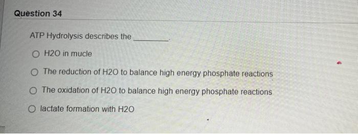 Question 34 Atp Hydrolysis Describes The O H20 In Mucle The Reduction Of H20 To Balance High Energy Phosphate Reactions 1