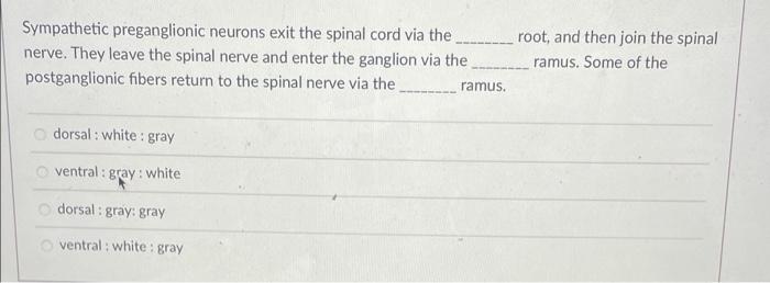 Sympathetic Preganglionic Neurons Exit The Spinal Cord Via The Nerve They Leave The Spinal Nerve And Enter The Ganglion 1