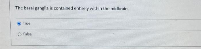 The Basal Ganglia Is Contained Entirely Within The Midbrain True False 1
