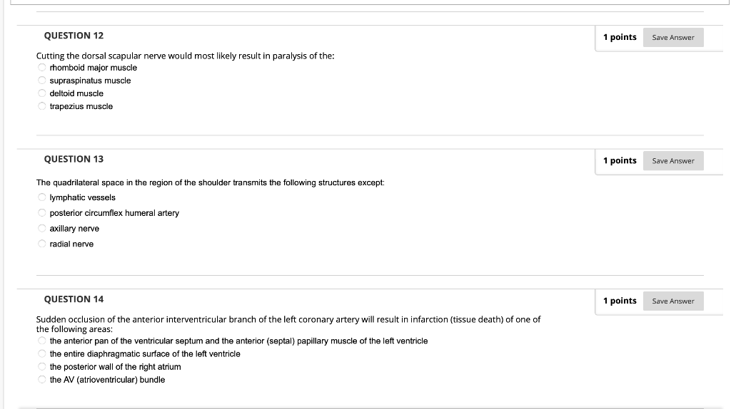 Question 12 1 Points Save Answer Cutting The Dorsal Scapular Nerve Would Most Likely Result In Paralysis Of The Rhomboi 1