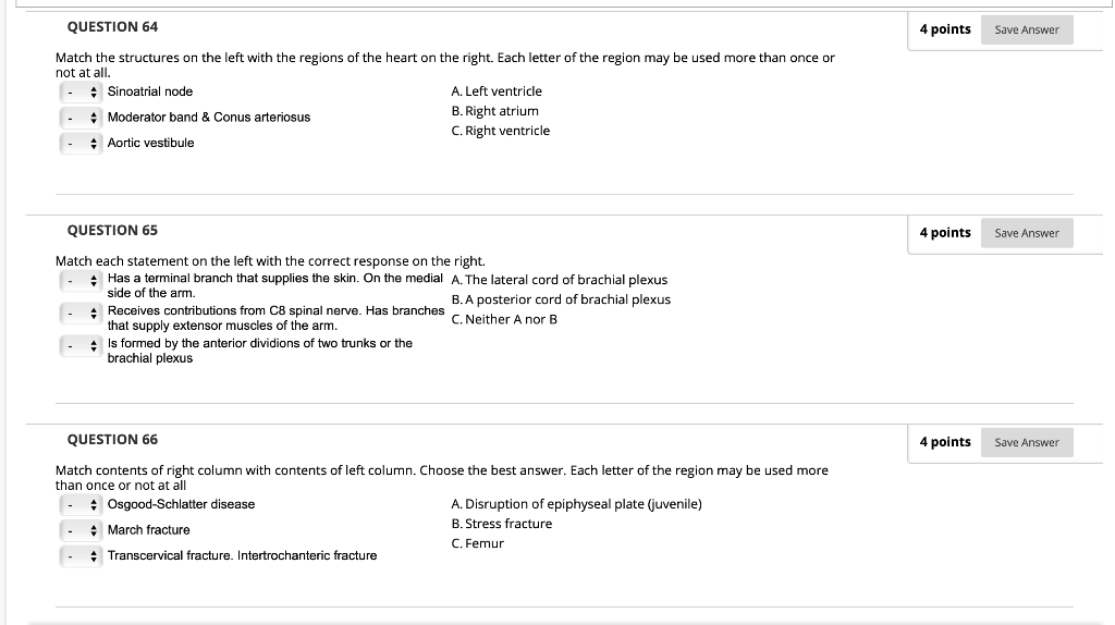 Question 64 4 Points Save Answer Match The Structures On The Left With The Regions Of The Heart On The Right Each Lette 1