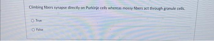 Climbing Fibers Synapse Directly On Purkinje Cells Whereas Mossy Fibers Act Through Granule Cells O True O False 1