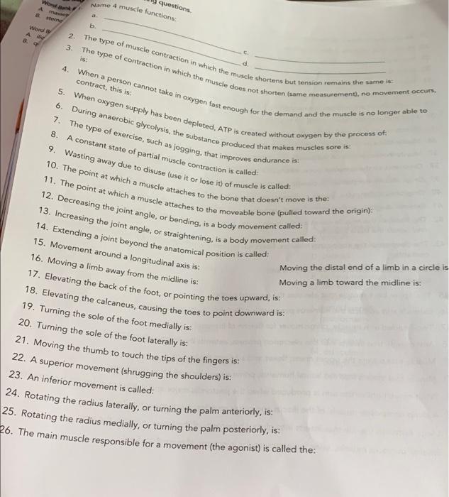 Word Name 4 Muscle Functions Questions Bernd B Word A Contract This Is 2 The Type Of Muscle Contraction In Which Th 1