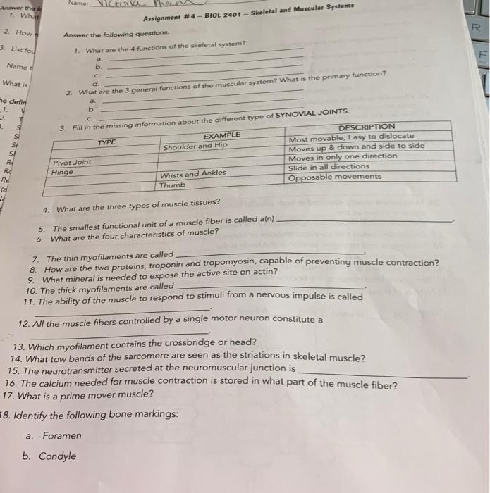 Name Victoria Answer The 1 What 2 How R 3 List Fou Assignment 4 Biol 2401 Skeletal And Museular Systems Answer T 1