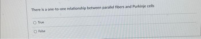 There Is A One To One Relationship Between Parallel Fibers And Purkinje Cells True False 1