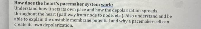 How Does The Heart S Pacemaker System Work Understand How It Sets Its Own Pace And How The Depolarization Spreads Throu 1