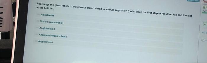 Su Rearrange The Given Labels To The Correct Order Related To Sodium Regulation Note Place The First Step Or Result On 1
