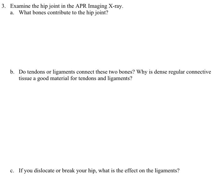 3 Examine The Hip Joint In The Apr Imaging X Ray A What Bones Contribute To The Hip Joint B Do Tendons Or Ligaments 1