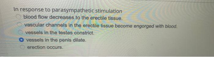 In Response To Parasympathetic Stimulation Blood Flow Decreases To The Erectile Tissue Vascular Channels In The Erectil 1