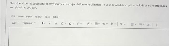 Describe A Sperms Successful Sperms Journey From Ejaculation To Fertilization In Your Detailed Description Include As 1