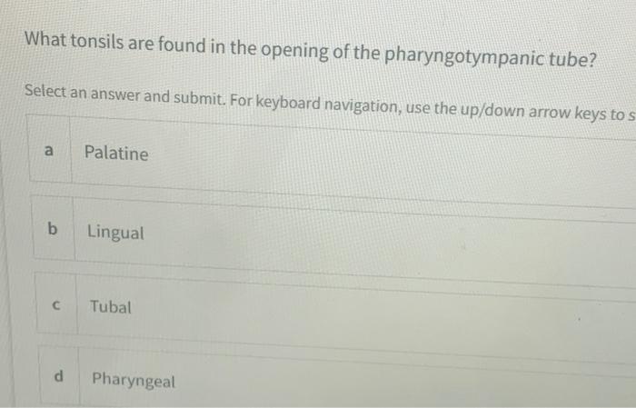 One Of These Works To Slow Down The Spread Of Covid 19 Select An Answer And Submit For Keyboard Navigation Use The U 3
