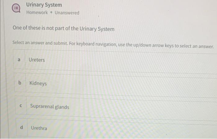 Urinary System Homework Unanswered One Of These Is Not Part Of The Urinary System Select An Answer And Submit For Key 1