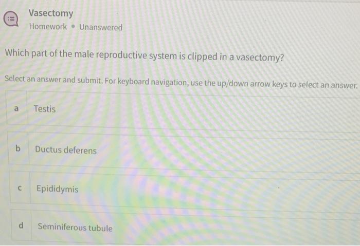 Urinary System Homework Unanswered One Of These Is Not Part Of The Urinary System Select An Answer And Submit For Key 5