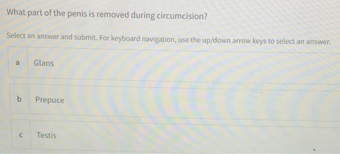 Urinary System Homework Unanswered One Of These Is Not Part Of The Urinary System Select An Answer And Submit For Key 6