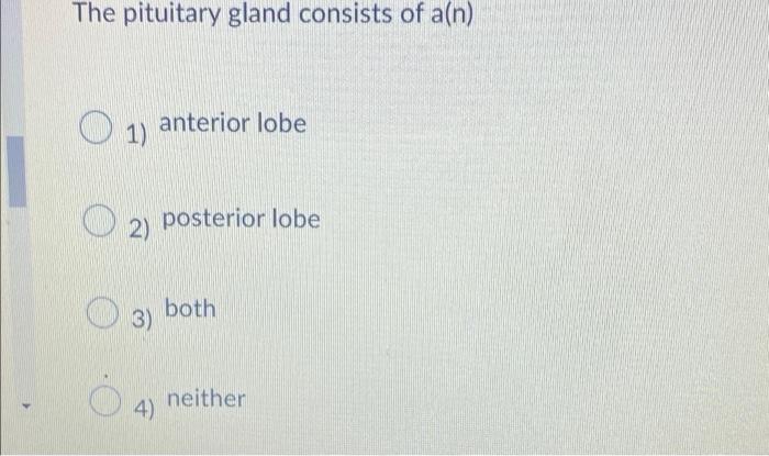 The Pituitary Gland Consists Of A N Anterior Lobe 1 2 Posterior Lobe Both 3 Neither 4 1