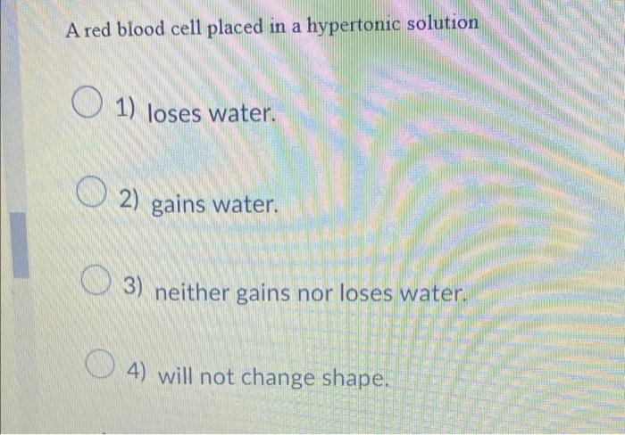 A Red Blood Cell Placed In A Hypertonic Solution 1 Loses Water O2 2 Gains Water O 3 Neither Gains Nor Loses Water 1