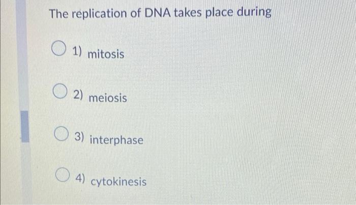 The Replication Of Dna Takes Place During 1 Mitosis 2 Meiosis 3 Interphase 4 Cytokinesis 1