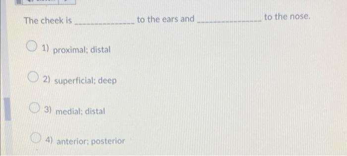 The Cheek Is To The Ears And To The Nose 1 Proximal Distal 2 Superficial Deep 3 Medial Distal 4 Anterior Poster 1