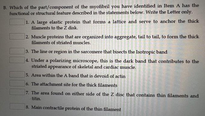 B Which Of The Part Component Of The Myofibril You Have Identified In Item A Has The Functional Or Structural Feature D 1