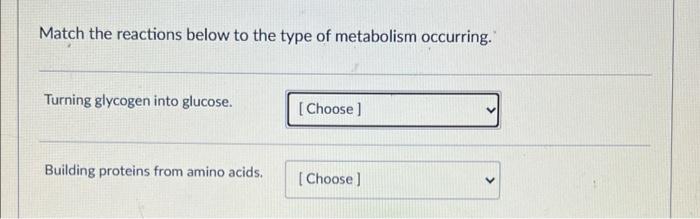 Match The Reactions Below To The Type Of Metabolism Occurring Turning Glycogen Into Glucose Choose Building Protein 1