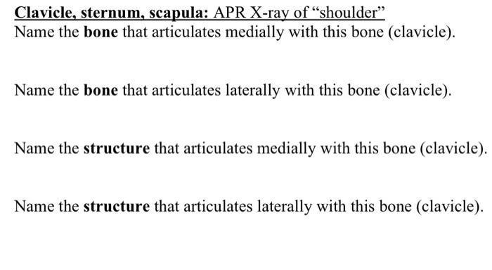 Clavicle Sternum Scapula Apr X Ray Of Shoulder Name The Bone That Articulates Medially With This Bone Clavicle N 1