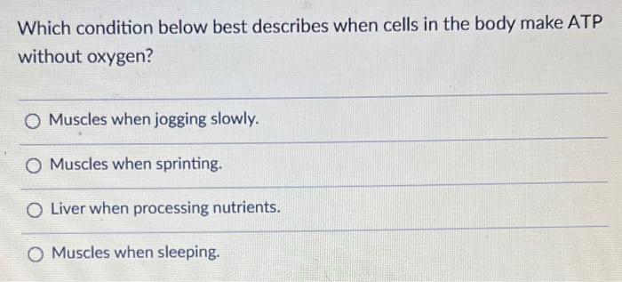 Which Condition Below Best Describes When Cells In The Body Make Atp Without Oxygen O Muscles When Jogging Slowly O Mu 1