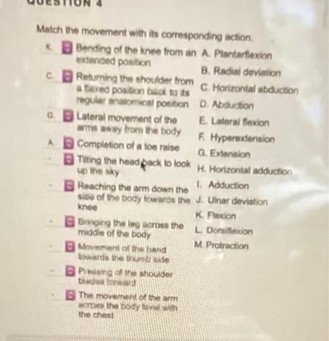 Maich The Movement With Its Corresponding Action K Bending Of The Knee From An A Plantartlexion Extended Position B Rad 1