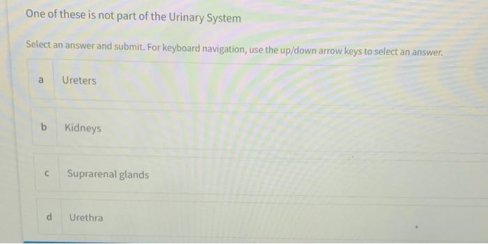 One Of These Is Not A Function Of The Spleen Select An Answer And Submit For Keyboard Navigation Use The Up Down Arrow 4